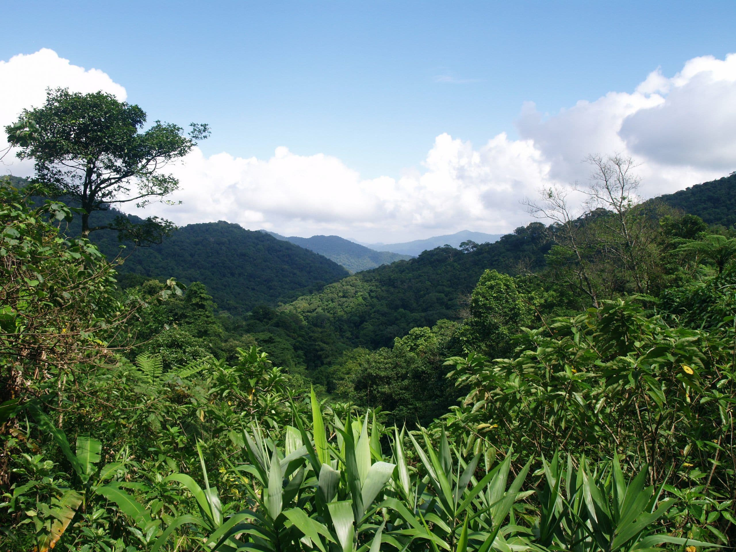 Publisher joins the Carbon Balanced Paper project