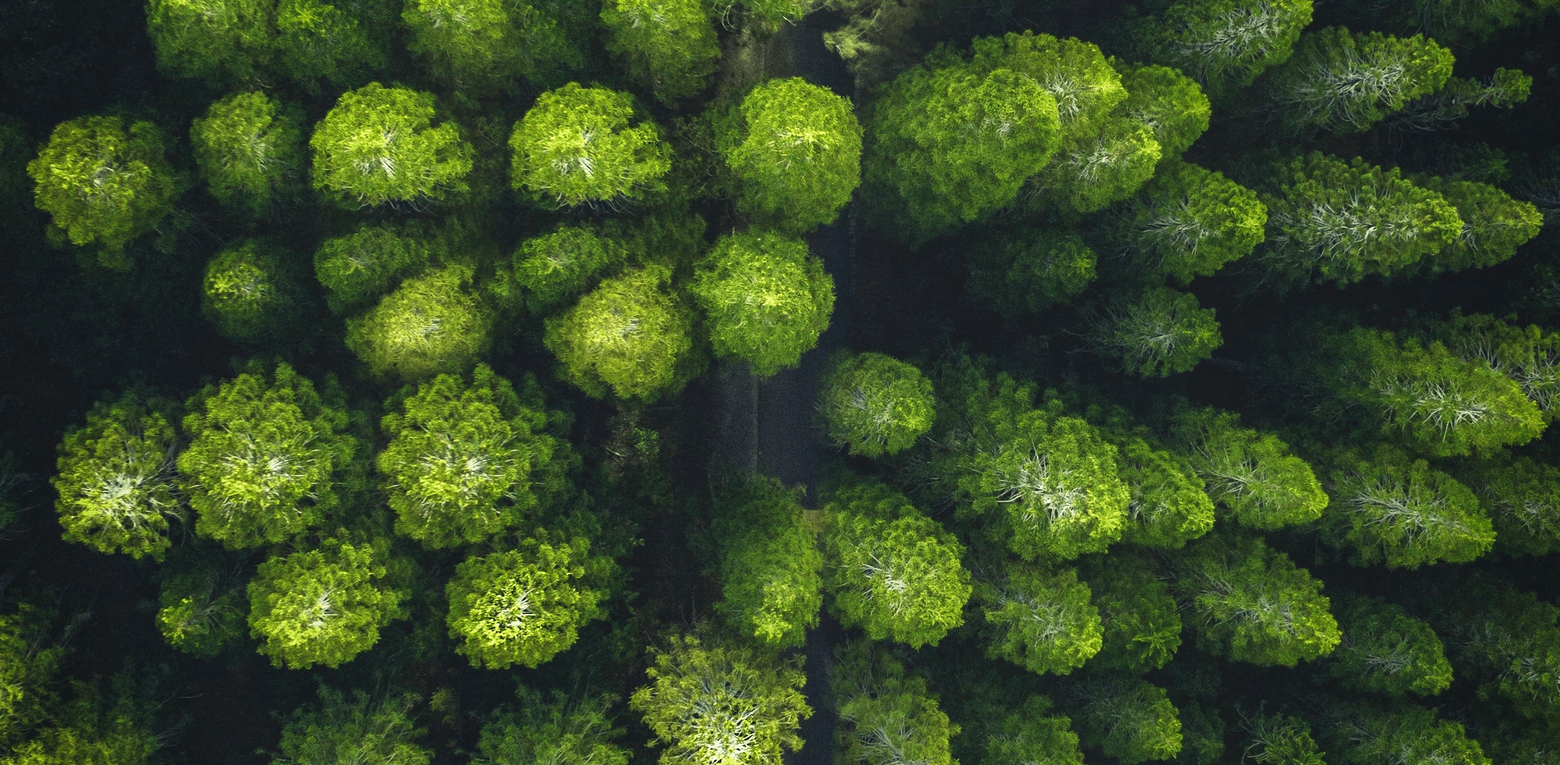 The European Union’s Green Deal could be an extremely big deal for printers