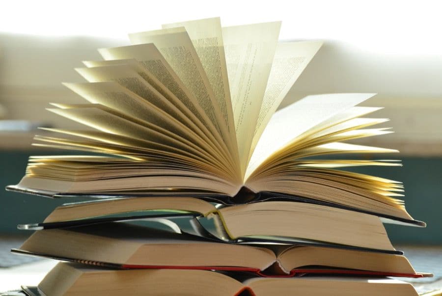 Danish book binder Centrum with stable first year