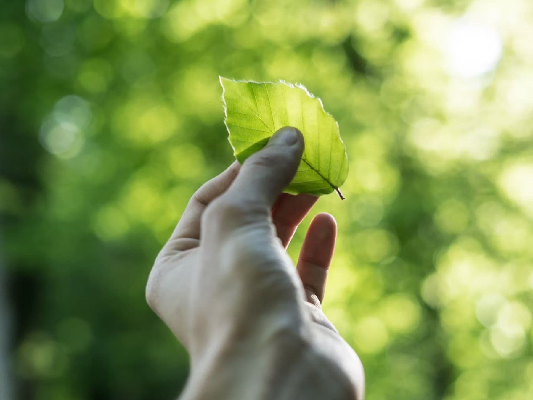 Why you need a sustainability officer