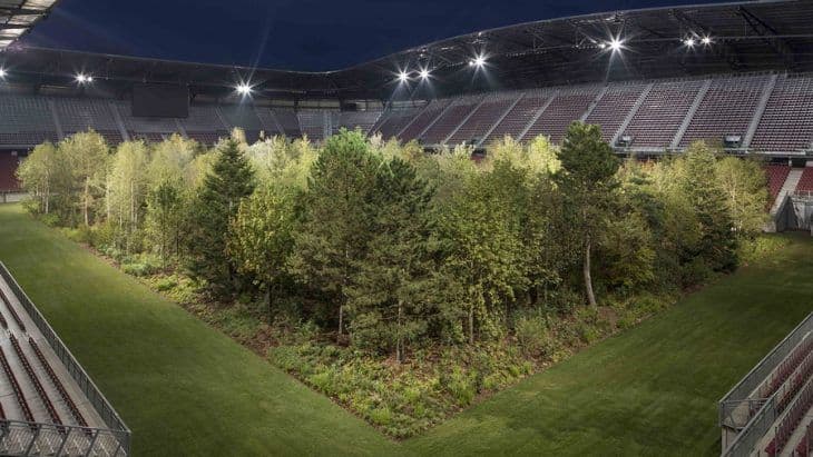 1,500 football fields every day