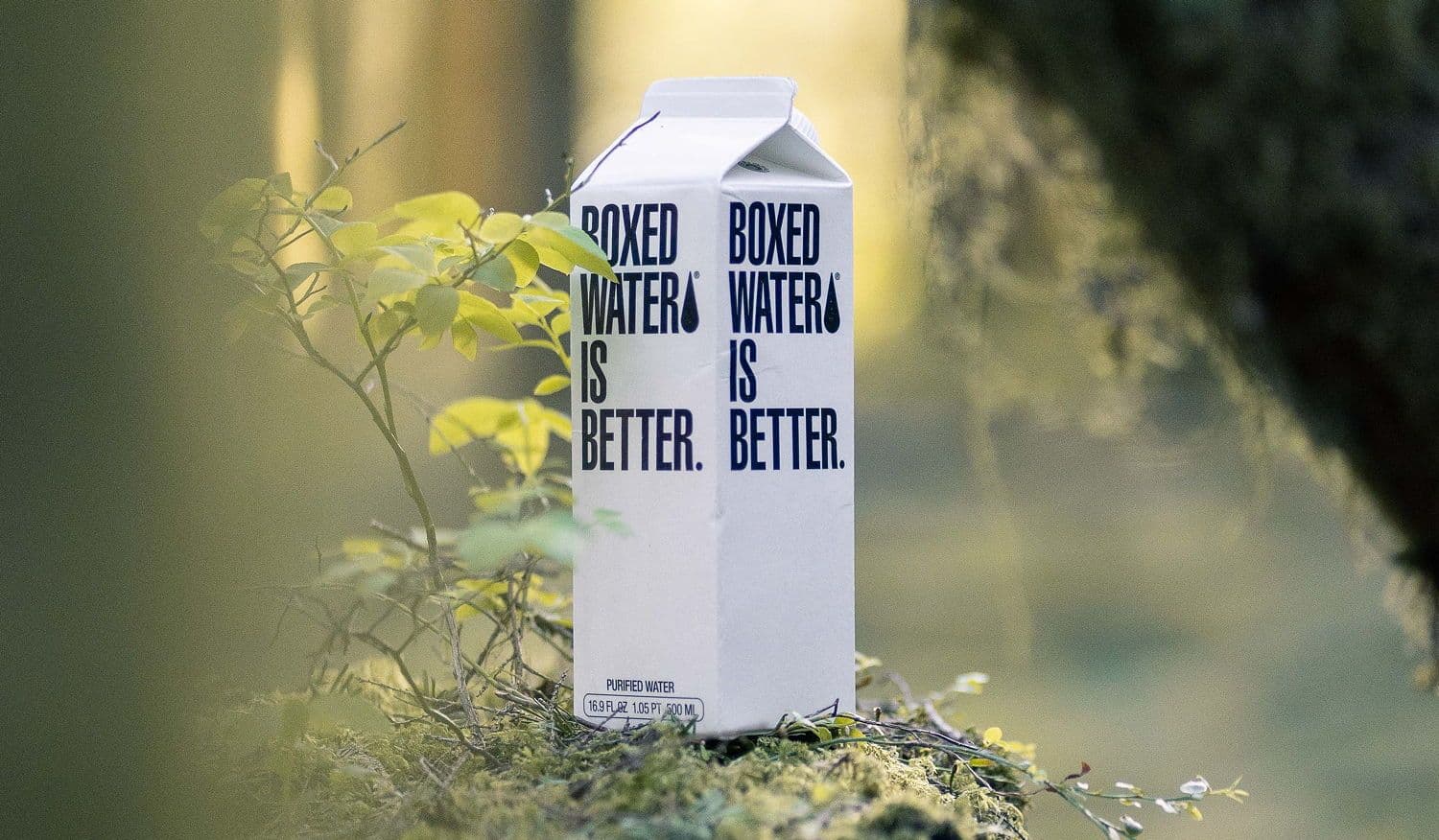 Plastics replaced with paper