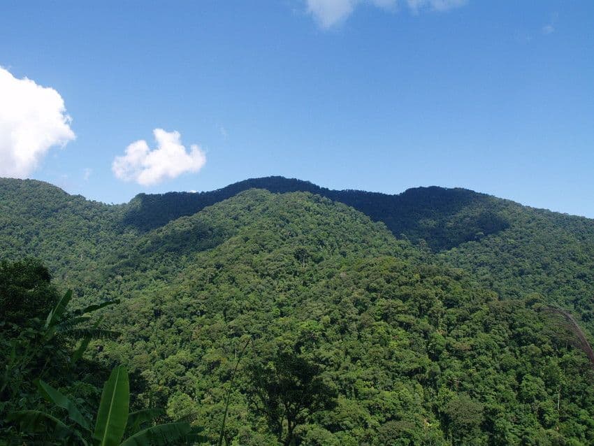 Wera AS first printer to offset their Co2 emissions through the Carbon Balanced Paper scheme