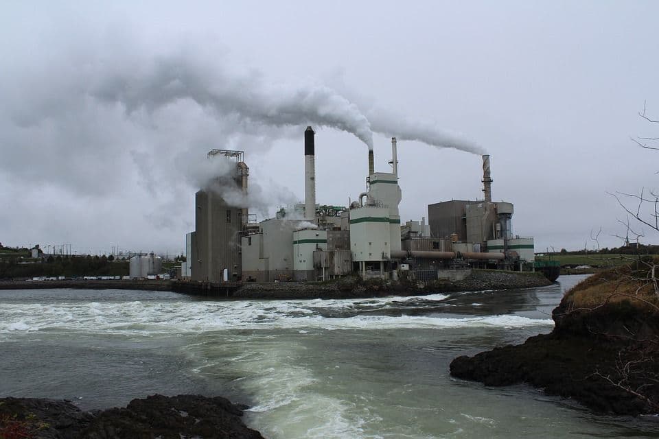 Interesting developments in the ownership of paper mills