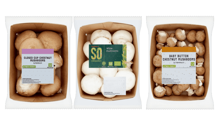 Sustainability News: 3 Reasons To Be Cheerful