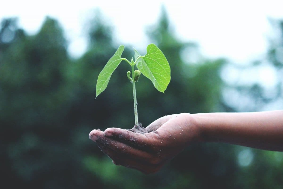 How do you ensure your business is sustainable?